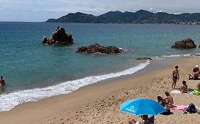 Le Palm Azur